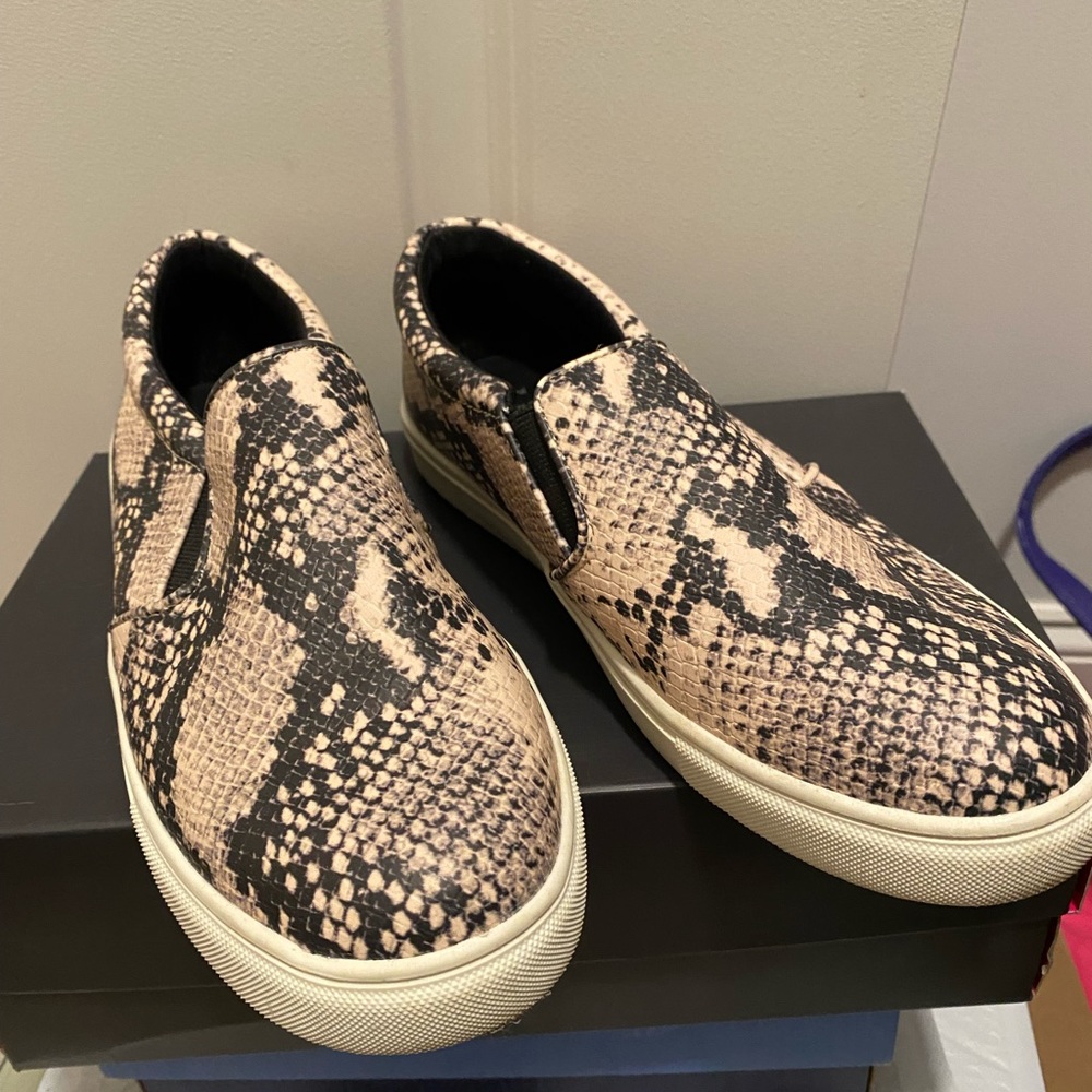 A New Day Snake Flats